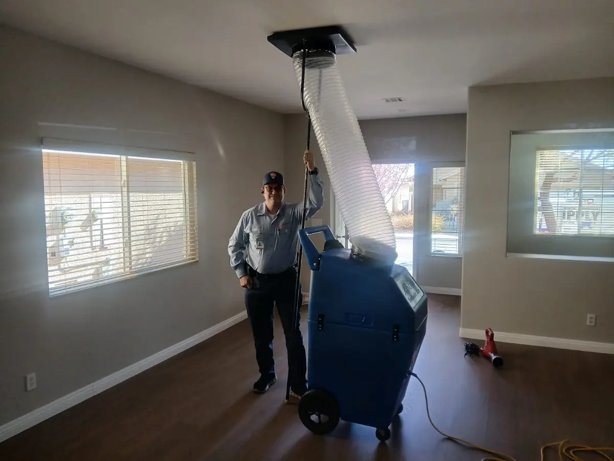 Professional Dryer Vent Cleaning work inside a Palmetto Estates home